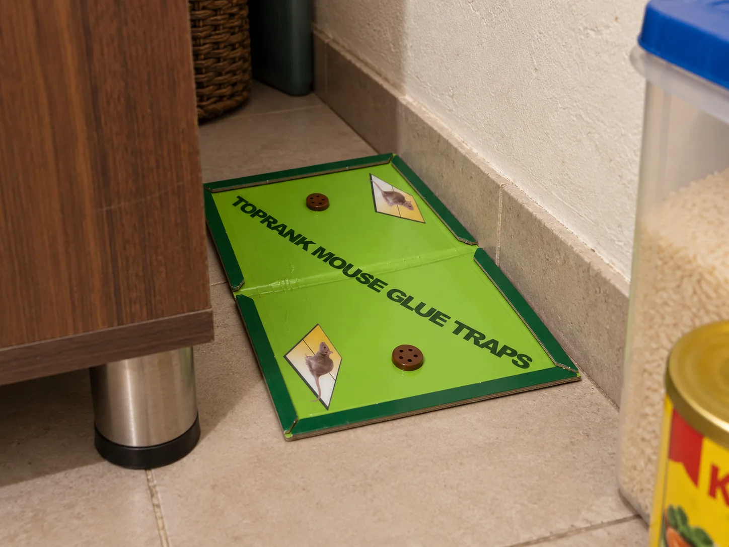 A glue board placed flat against a wall, behind a cupboard